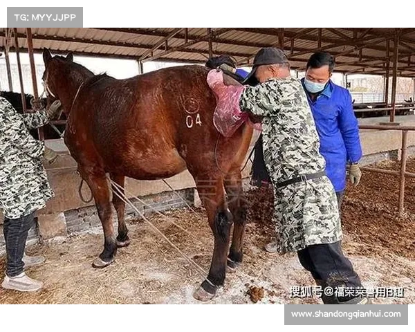 马脚趾独特结构与功能特点的深入分析及其生物学意义 马脚趾独特结构与功能特点的深入分析及其生物学意义