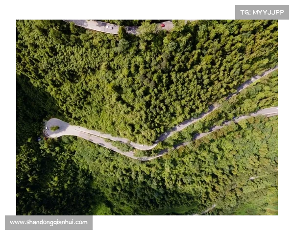 踏入朱雀天境的五大关键修行步骤全面解析与通关指南