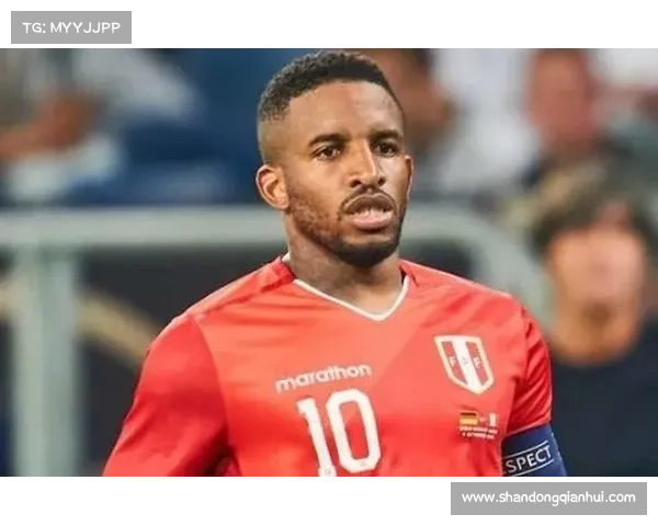 法尔范在沙尔克04的场上角色定位与战术作用解析