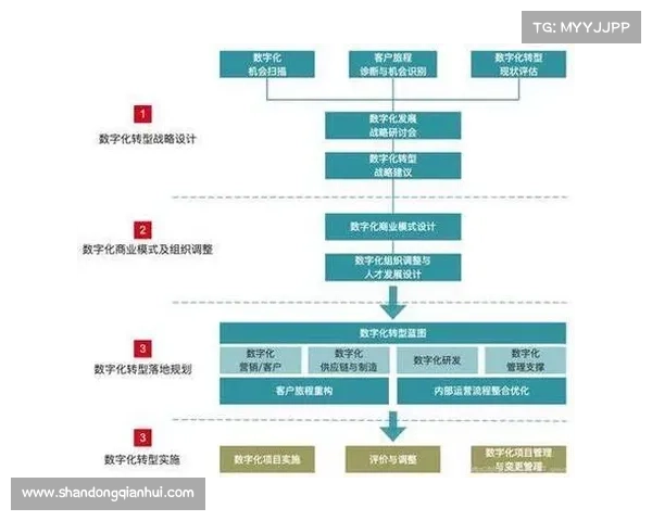 如何分析药厂晋级8强的关键成功因素与战略布局